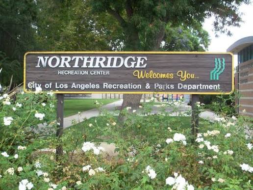 Low-Voltage-Installation-Services-Northridge