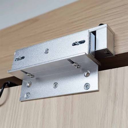 Magnetic door